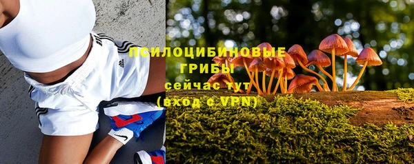 мяу мяу мука Алексеевка