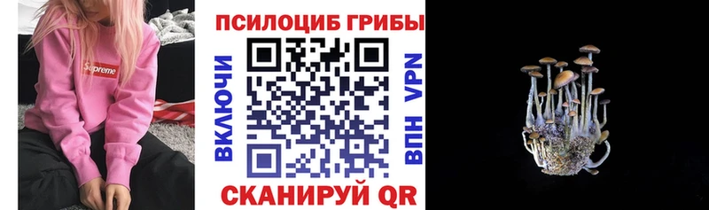Галлюциногенные грибы Psilocybine cubensis  Собинка 